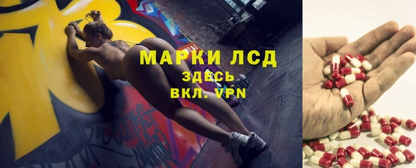 стаф Сосновоборск