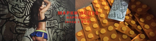 мяу мяу мука Сосновка