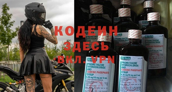 стаф Сосновоборск