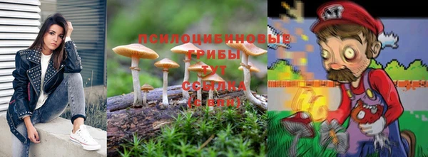 стаф Сосновоборск
