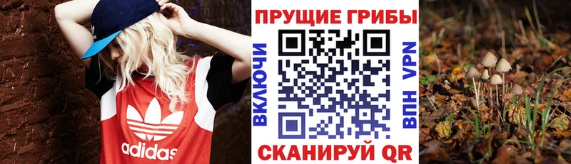 Галлюциногенные грибы MAGIC MUSHROOMS сайты даркнета наркотические препараты Урень сколько стоит